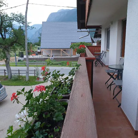 Apartmaji Pri Medvedu